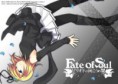 /album/fotogaleria-inicio/fate-of-soul-jpg/